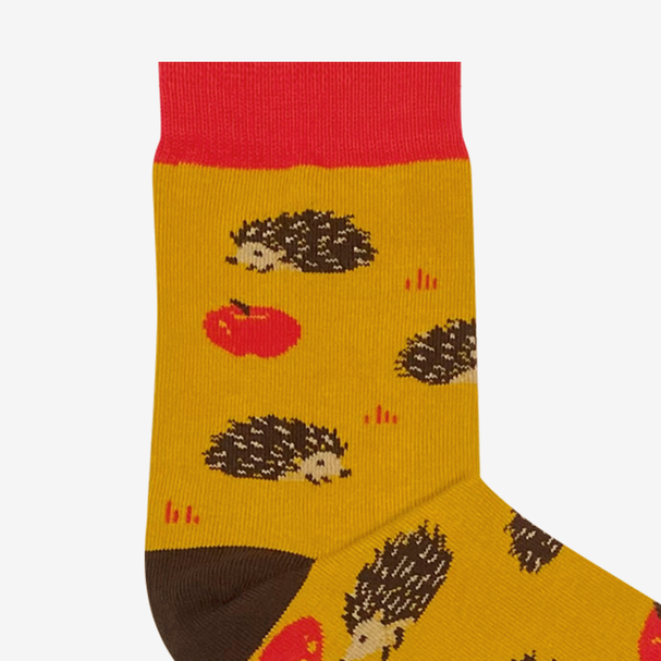 Socks Hedgedogs