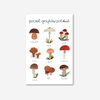 Polish Mushroom Postcard
