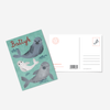Seal Postcard