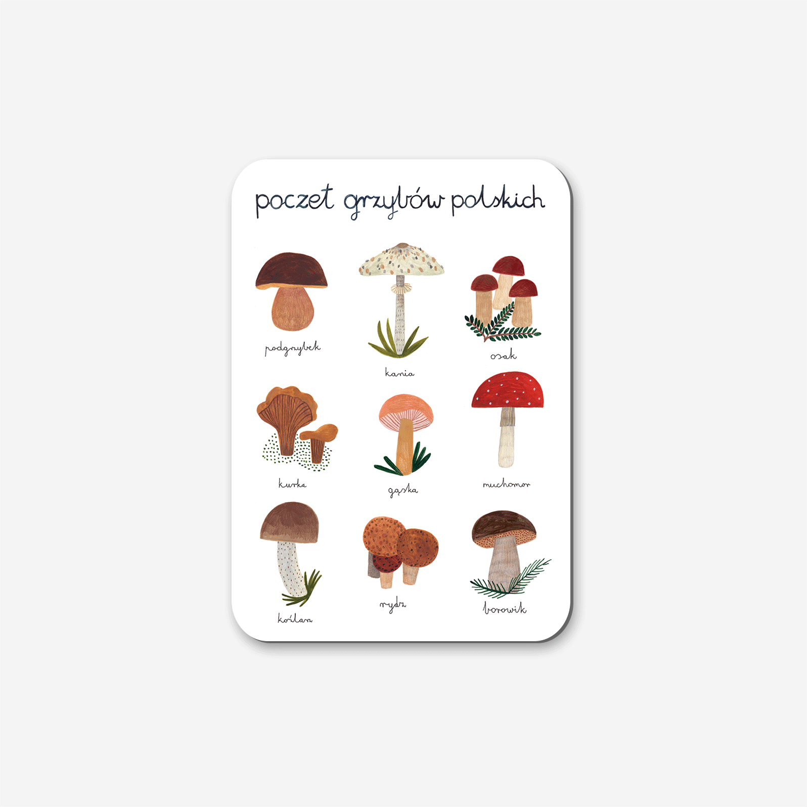 Magnes Poczet Grzybów Polskich